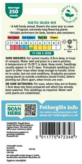 Tagetes Golden Gem Seeds - image 2