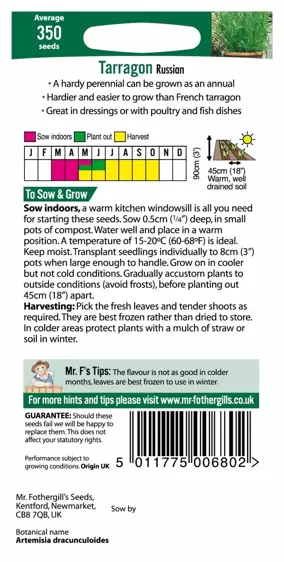 Tarragon Russian - image 2
