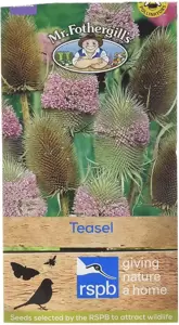 Teasel - image 1