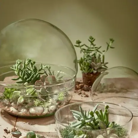 Telise Terrarium Ball Ø19cm - image 2