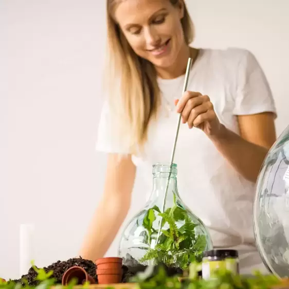 Terrarium Activated Charcoal - image 2