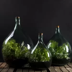 Terrarium Bottle Planter with Tools 5L - image 3