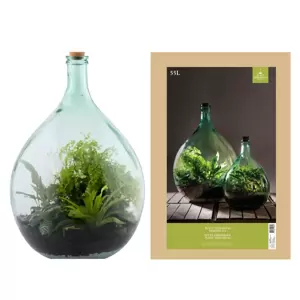 Terrarium Bottle Planter with Tools 55L - image 2