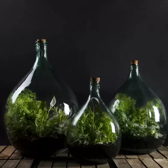 Terrarium Bottle Planter with Tools 55L - image 4