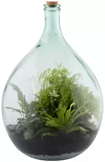 Terrarium Bottle Planter with Tools 55L - image 1