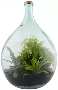 Terrarium Bottle Planter with Tools 55L - image 1