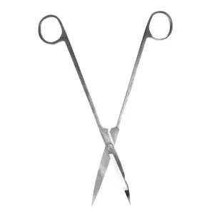 Terrarium Scissors - image 4