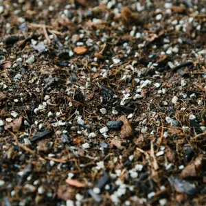 Terrarium Soil Mix Blend 2.5L - image 2