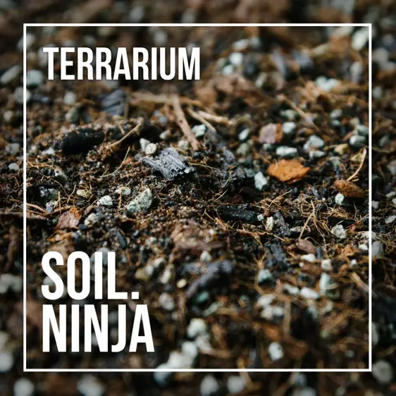 Terrarium Soil Mix Blend 2.5L - image 2