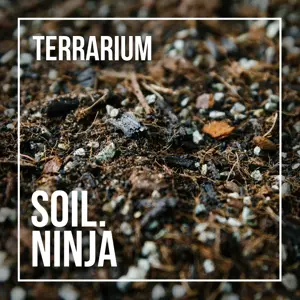 Terrarium Soil Mix Blend 2.5L - image 2