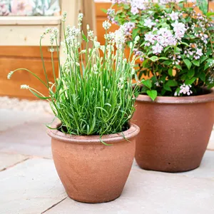Thai Brown Jar Planter Ø40cm - image 1