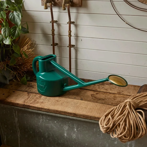 The Selly Soak Watering Can - image 1