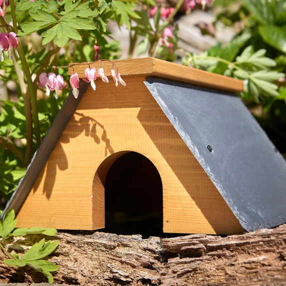 Tom Chambers Hedgehog Cottage