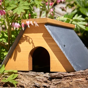 Tom Chambers Hedgehog Cottage