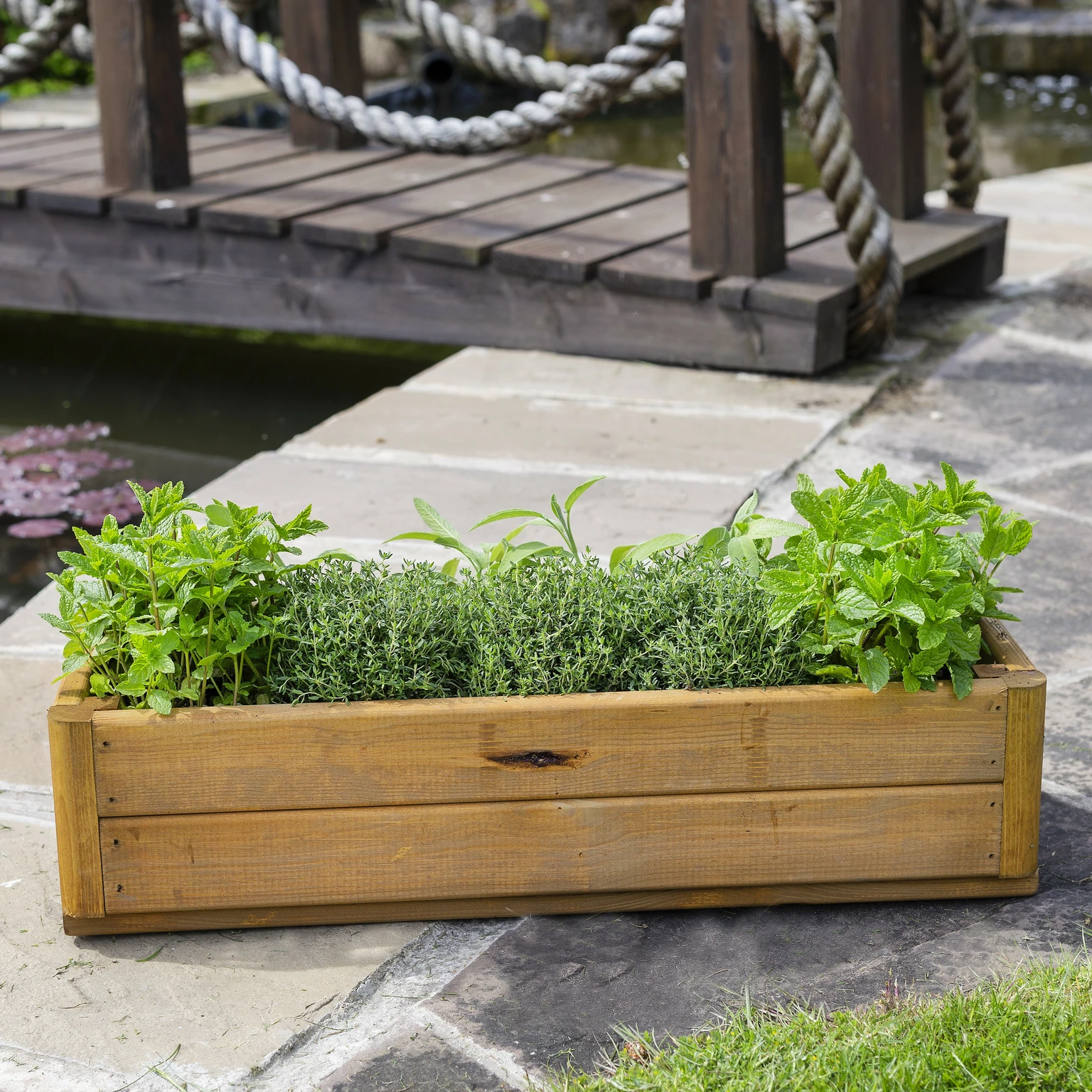Tom Chambers Herb Trough Planter Cowell's Garden Centre Woolsington