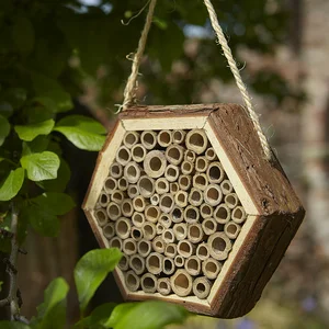 Tom Chambers Honeycomb Bee and Insect House