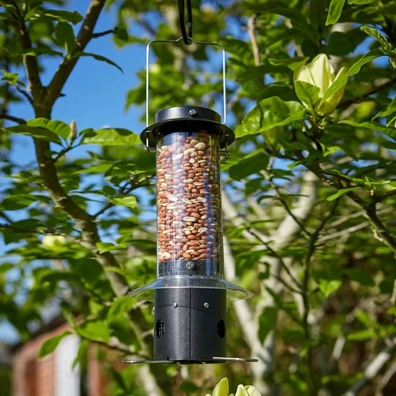 Tom Chambers Mini Squirrel Stop Peanut Feeder
