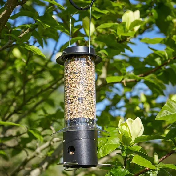 Tom Chambers Mini Squirrel Stop Seed Feeder