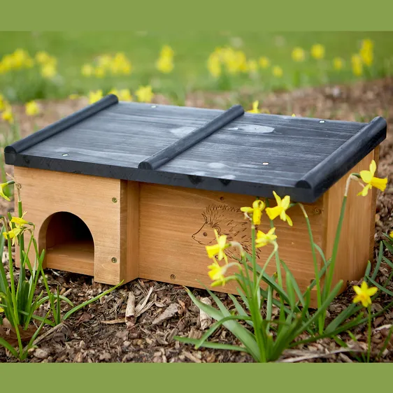 Tom Chambers Prickles Hedgehog House