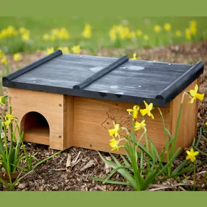 Tom Chambers Prickles Hedgehog House