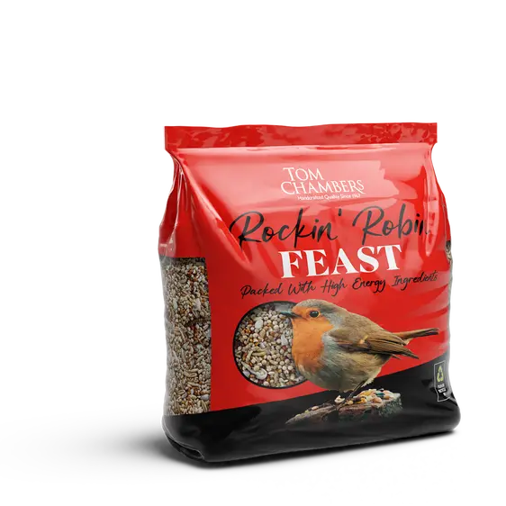 Tom Chambers Robin Bird Table - image 4