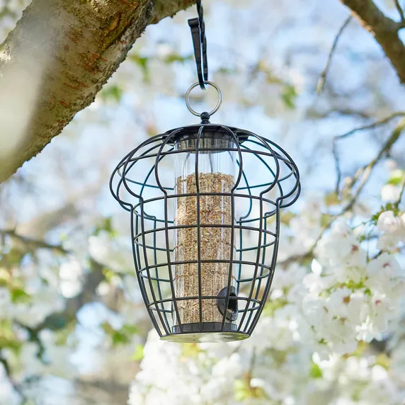 Tom Chambers Squirrel Resistant Acorn Seed Feeder