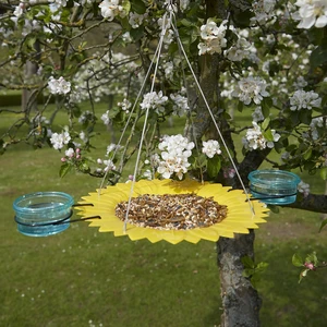 Tom Chambers Sunflower Hanging Feeder