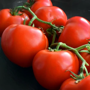 Tomato 'Ailsa Craig'