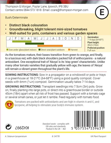 Tomato Akoya F1 Seeds - image 2