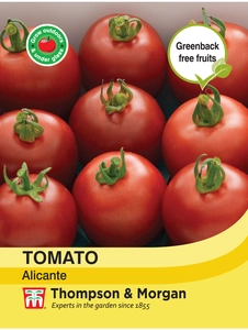 Tomato Alicante - image 1