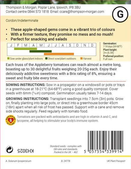 Tomato Appleberry Series F1 Seeds - image 2