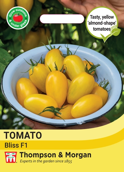 Tomato Bliss F1 - image 1