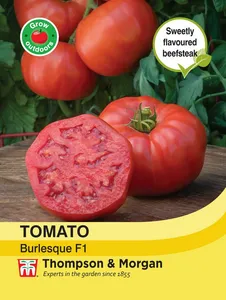 Tomato Burlesque F1 - image 1