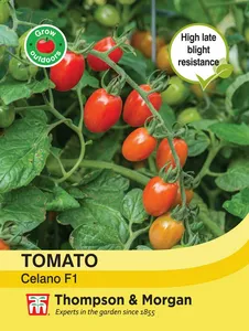 Tomato Celano - image 2