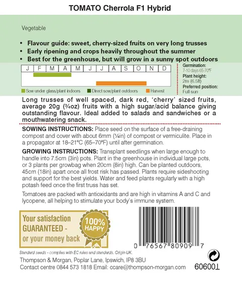 Tomato Cherrola F1 - image 2