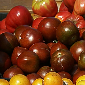 Tomato 'Chocolate Cherry'