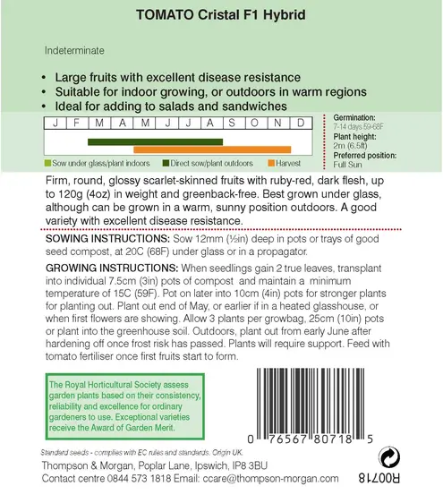 Tomato Cristal F1 - image 2
