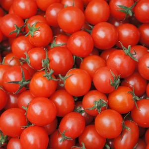 Tomato 'Crokini'