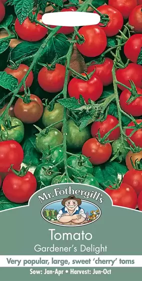 Tomato Gardeners Delight - image 1