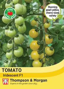 Tomato Iridescent F1 Seeds - image 1