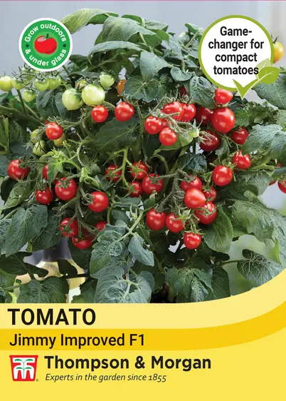 Tomato Jimmy Improved F1 Seeds - image 1