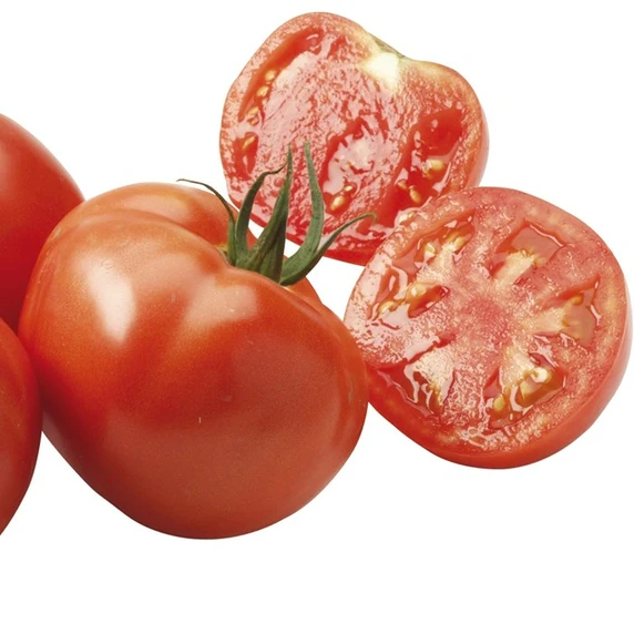 Tomato 'Maestria' - Grafted