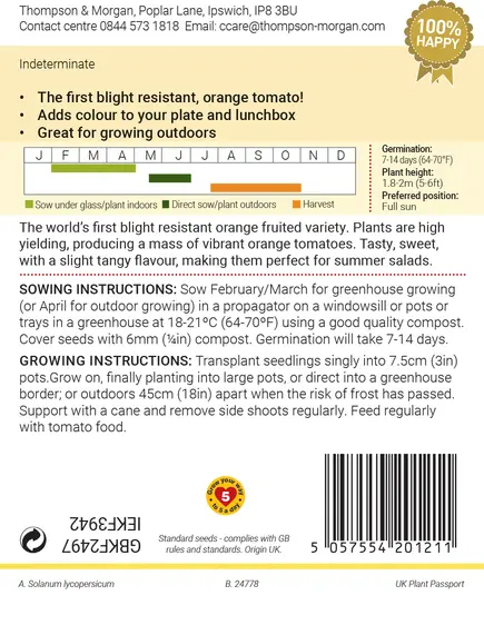 Tomato Merrygold F1 - image 2