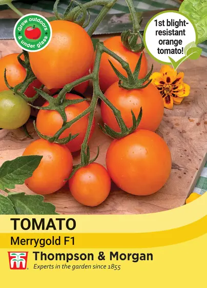 Tomato Merrygold F1 - image 1