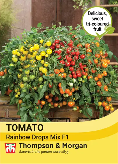 Tomato Rainbow Drops Mix F1 - image 1