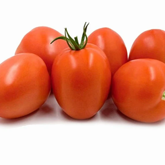 Tomato 'Ravid' - Grafted