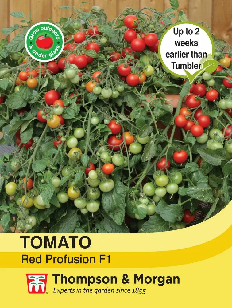 Tomato Red Profusion Seeds - Cowell's Garden Centre | Woolsington