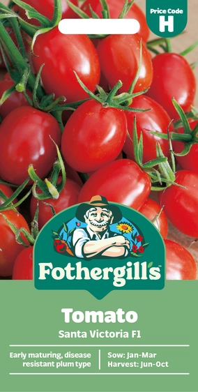 Tomato Santa Victoria F1 - image 1