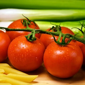 Tomato 'Shirley'
