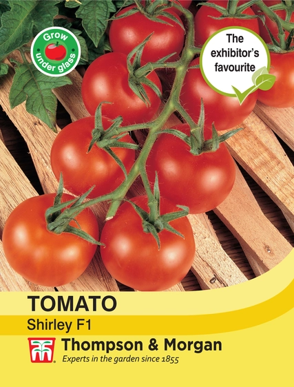 Tomato Shirley F1 - image 1